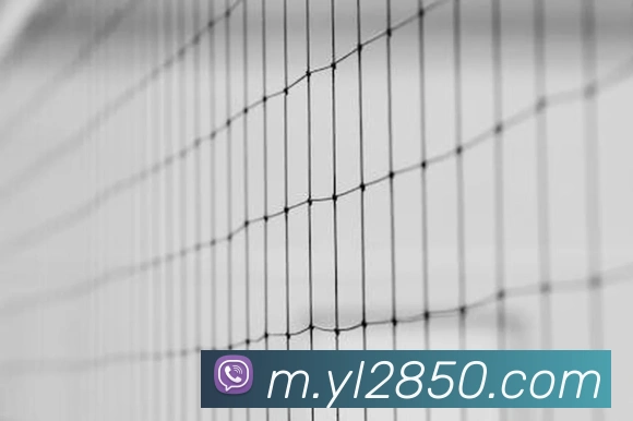 永利娱乐官网全站App